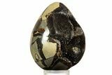 Septarian Dragon Egg Geode - Sparkly Black Crystals #344436-1